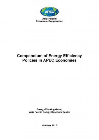 Final Report CEEDS Phase 4 (Promotion of Energy Service Company: ESCO)